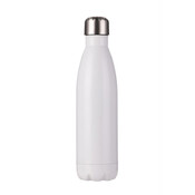 Stainless Bottle